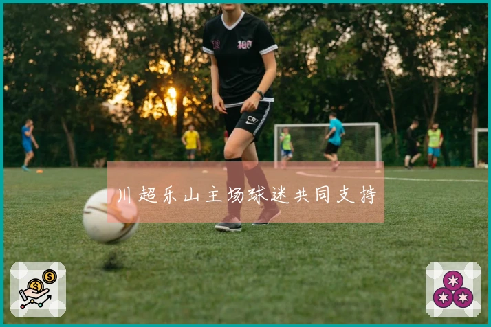 川超乐山主场球迷共同支持