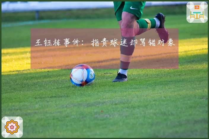王钰栋事件：指责球迷却骂错对象